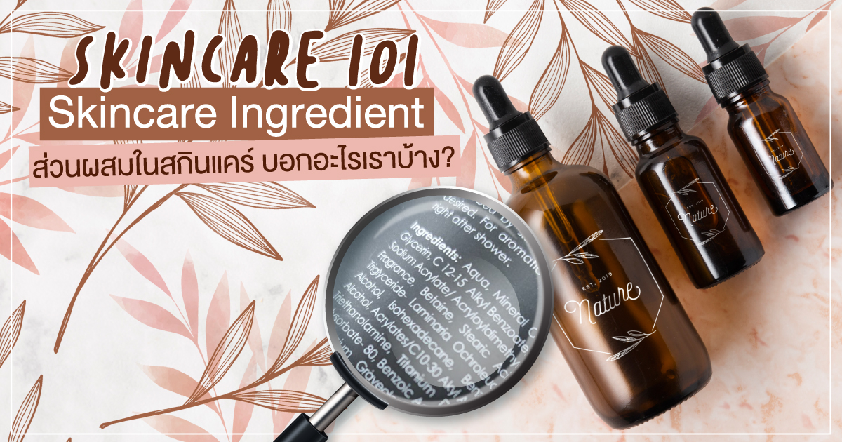 Skincare 101 :: Skincare Ingredient มาอ่านส่วนผสมในสกินแคร์กันเถอะ ! 
